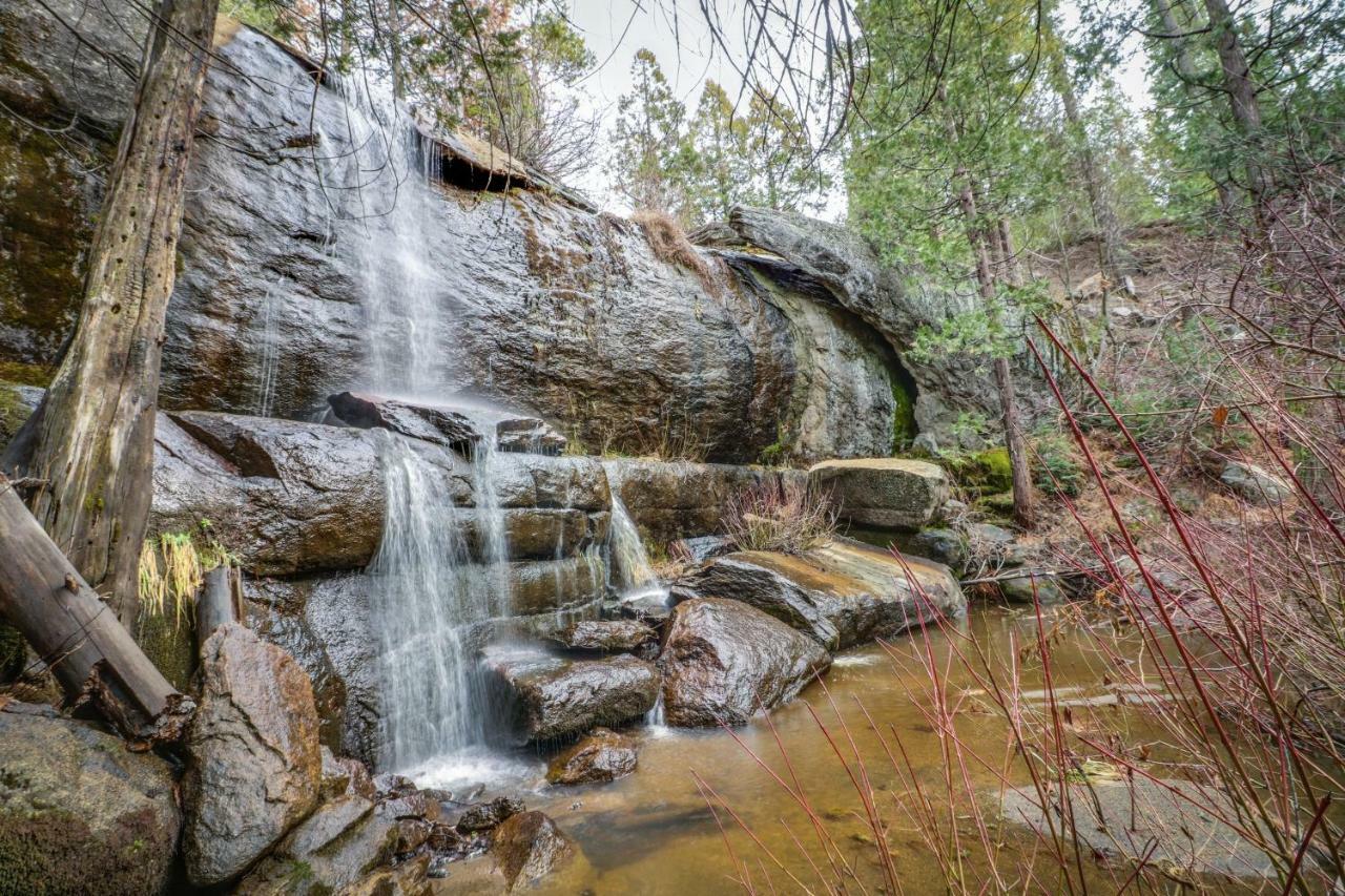 Forest Falls Shaver Lake Esterno foto